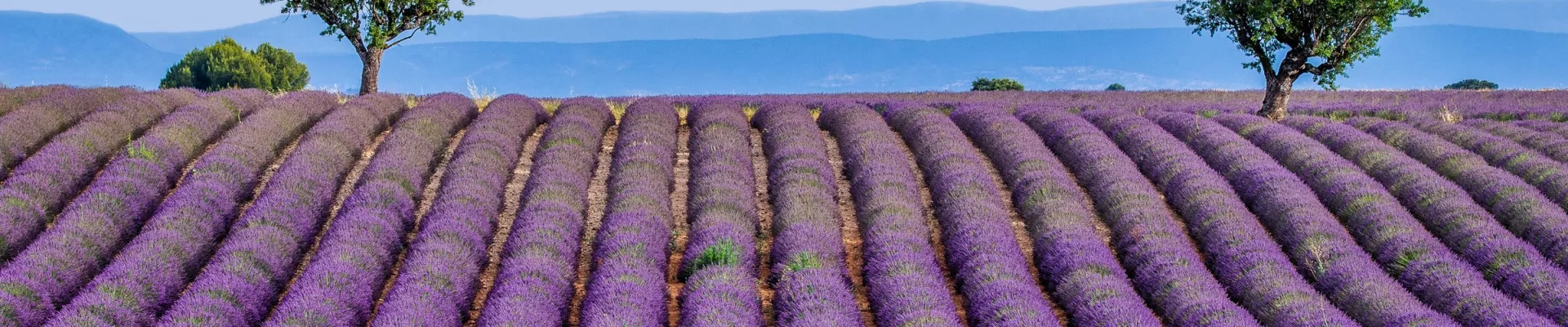 Exploring France by Car - image